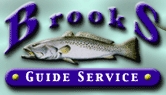 brooks