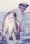 escobarfish