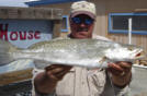 small_pic_big_m2