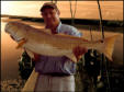 smithcliftonfish