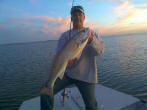 vermfish